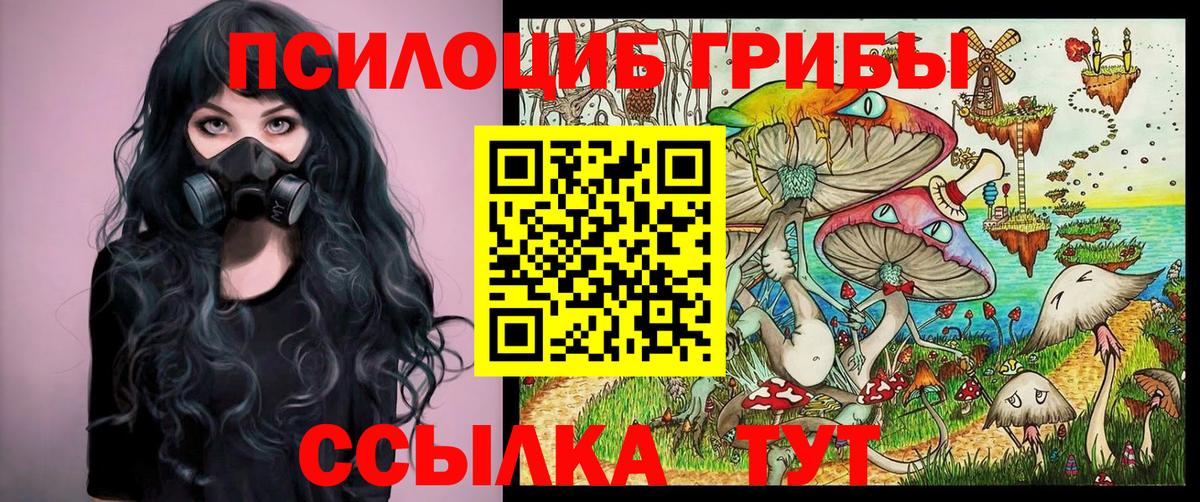 Гулькевичи  Галлюциногенные грибы Magic Shrooms  Вход с VPN 