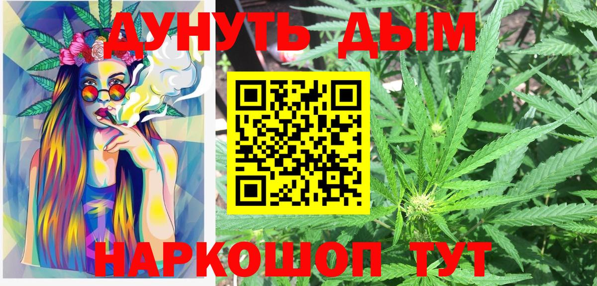 МАРИХУАНА сатива Гулькевичи